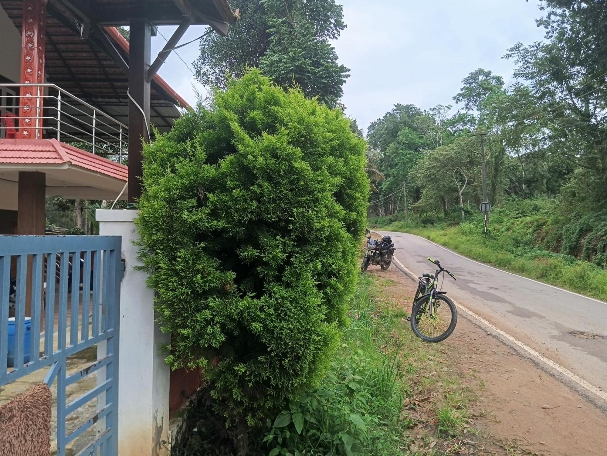 Villa Elephant Path Coorg 3Bhk à Suntikoppa Extérieur photo